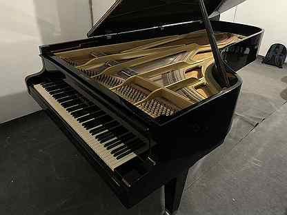 Концерт с роялем. Пианино kawai черное. Концертный рояль. Большой концертный рояль. Кочкин приобрел в магазине концертный рояль.