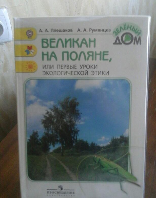 Мир книг великан. Книжка великан на Поляне. Великан на Поляне 4 класс. Великан на полянке 4 класс. Книга великан на Поляне 4 класс окружающий мир.