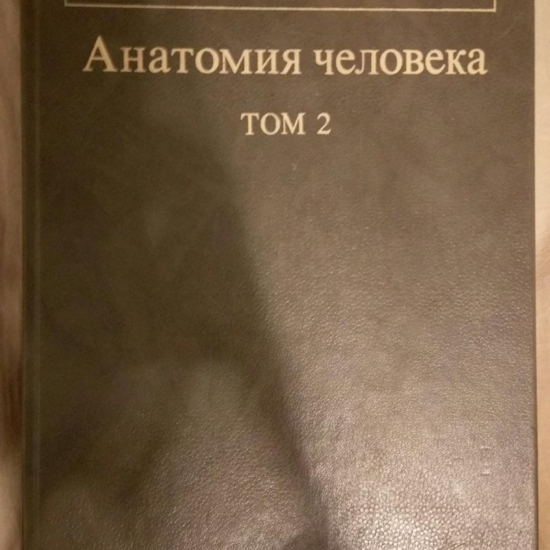 Анатомия учебник для вузов. Анатомия человека Сапин 1987. М.Р. Сапин «анатомия человека-том 2». Старые книги по анатомии. Сапин анатомия человека.