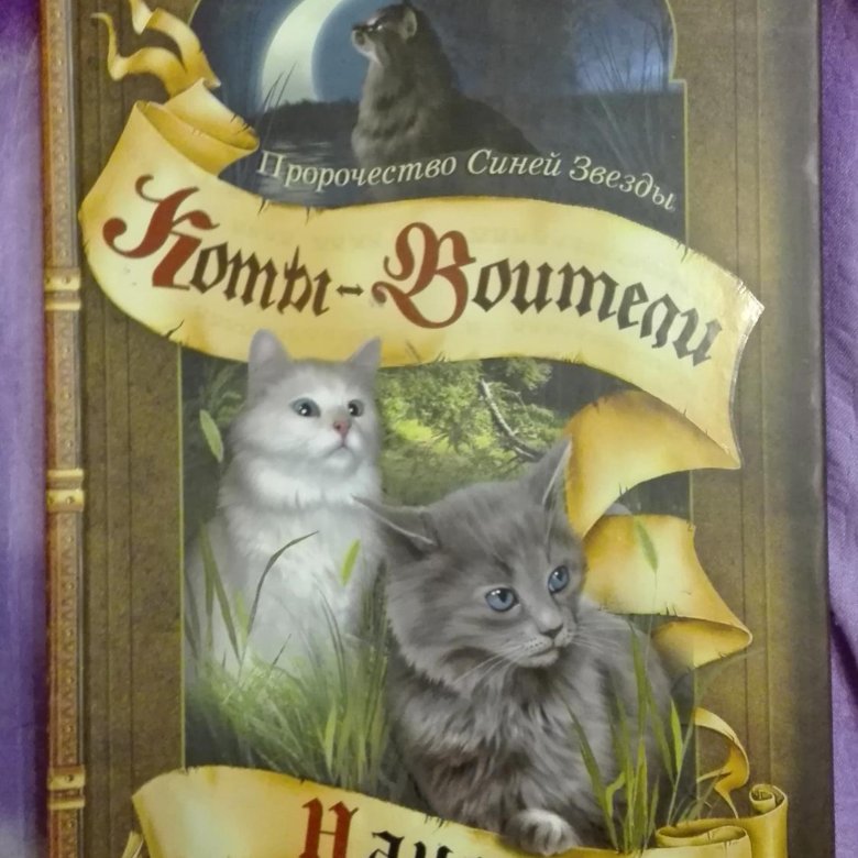 Книга коты 4 книги. Коты воители знамение звезд. Коты воители книги 4 цикл. Коты воители книги. Сказка о четырех котятах и четырех ребятах.
