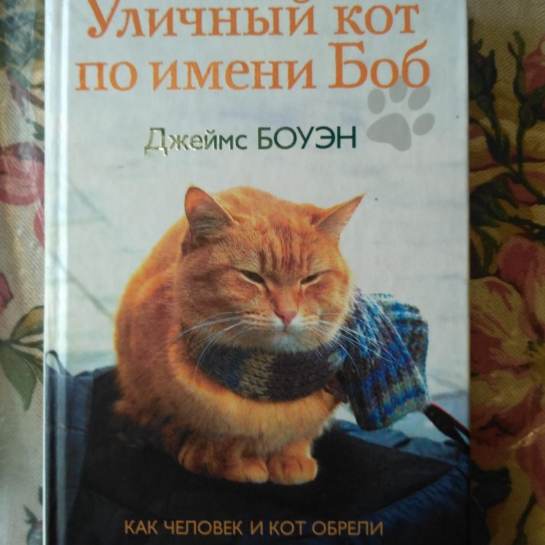 Книга про боба. Кот по имени Боб книга. Уличный кот по имени Боб. Уличный кот по имени Боб книга. Кот по имени Боб в реальности.