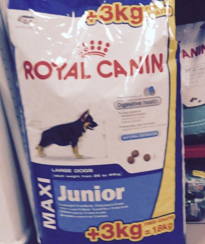 Джуниор 18. Royal Canin Junior Maxi. Роял Канин Maxi Starter 18 кг.