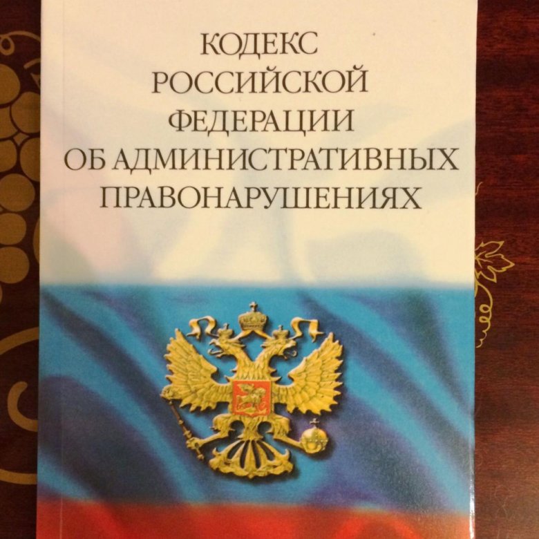 Проект процессуального кодекса российской федерации об административных правонарушениях