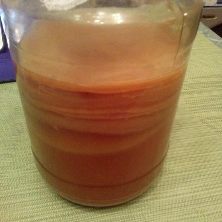 Чайный гриб .Бесплатно – купить в Санкт-Петербурге, цена 1 руб., дата ...