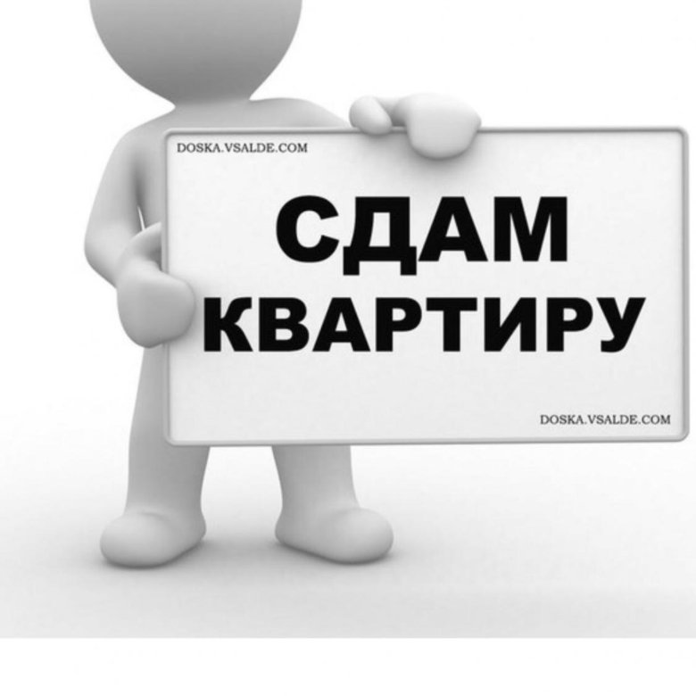 Срок объявления