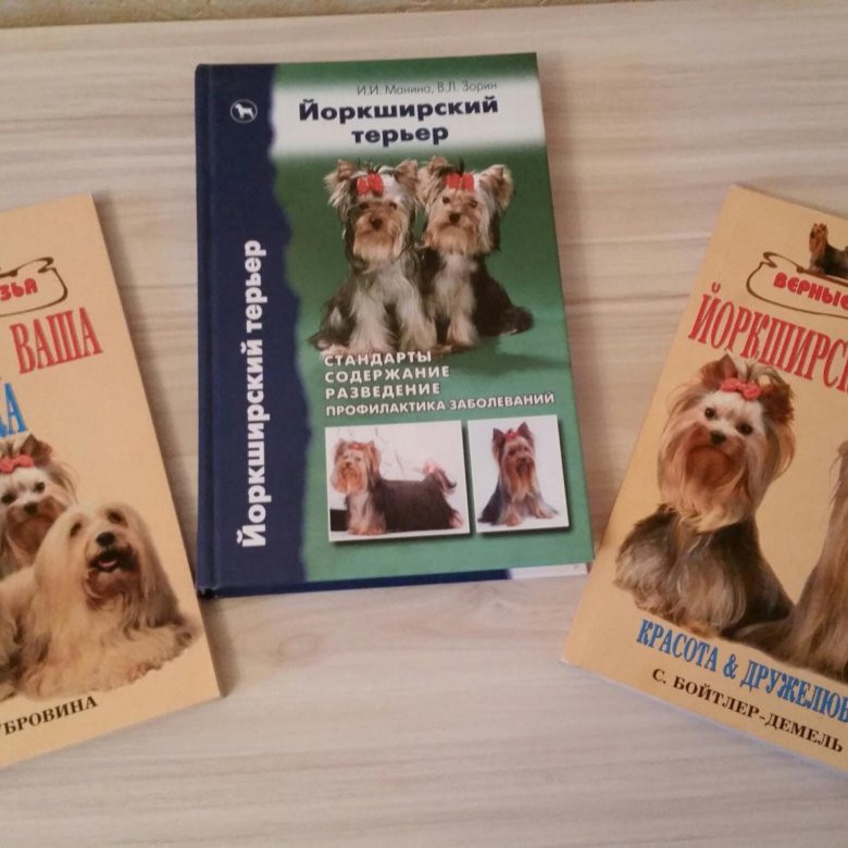 КНИГА ПО УХОДУ ЗА ЙОРКШИРСКИМ ТЕРЬЕРОМ СКАЧАТЬ БЕСПЛАТНО КНИГА ПО УХОДУ ЗА ЙОРКШИРСКИМ ТЕРЬЕРОМ СКАЧАТЬ БЕСПЛАТНО