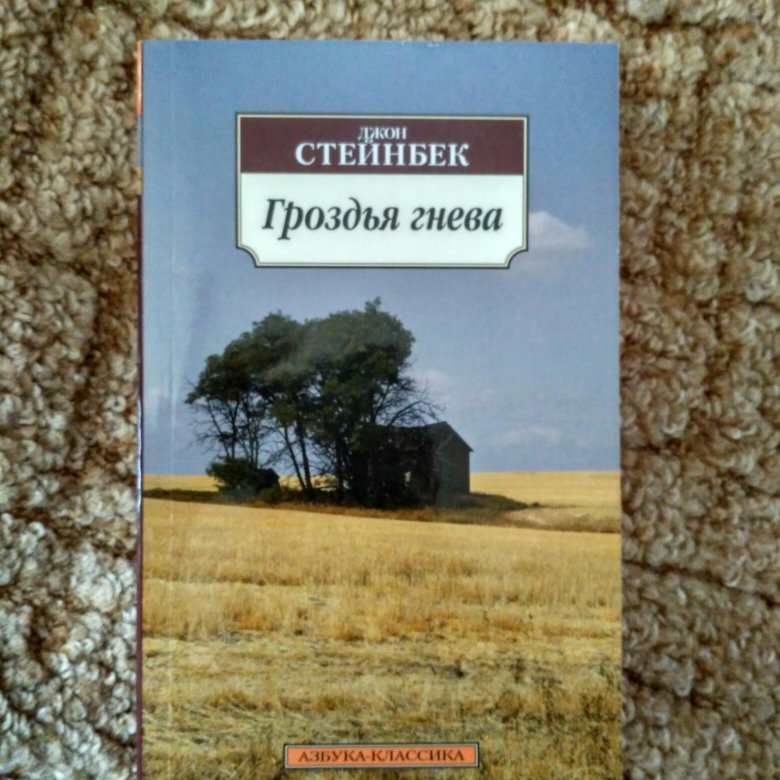 Гроздья гнева джон стейнбек слушать. Стейнбек гроздья гнева. Джон Стейнбек - гро́здья гне́ва. Гроздья гнева книга. Книга гнева Джон Стейнбек.