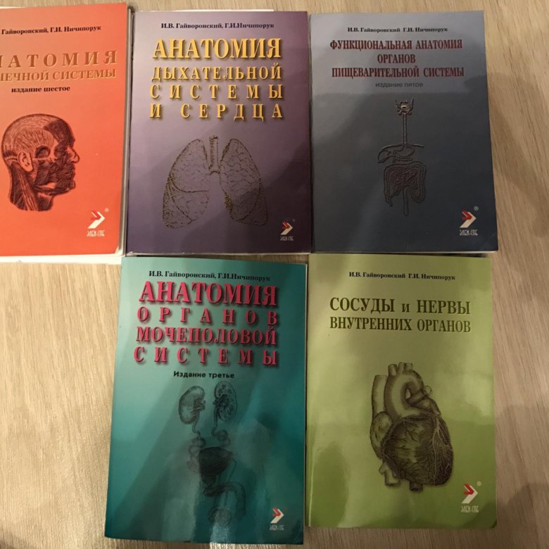 Гайворонский анатомия. Методички Гайворонского. Гайворонский анатомия методички. Методики гойворонского. Гайворонский анатомия ЦНС методичка.