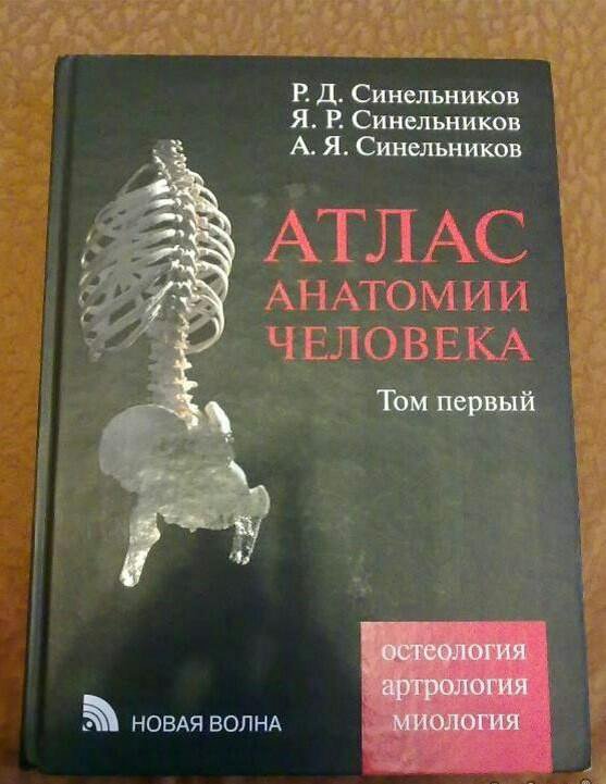 Синельников анатомия. Атлас анатомии человека 1 том р.д Синельников. Атлас анатомии человека том 1 р.д. Синельников 2018. Атлас анатомии человека том 1 Синельников 2021. Атлас анатомии Синельников 1 том обложка.