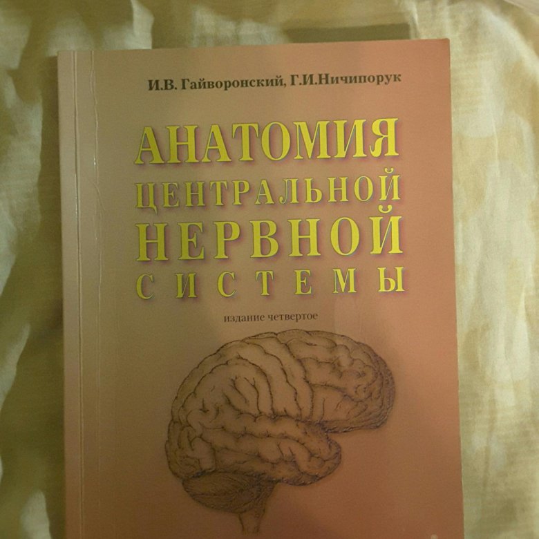 Гайворонский учебник. Ангиология Гайворонский анатомия. Гайворонский анатомия методички. Гайворонский функциональная анатомия.