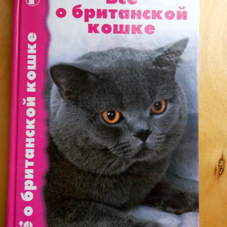 Книги о кошках британской породы thumbnail