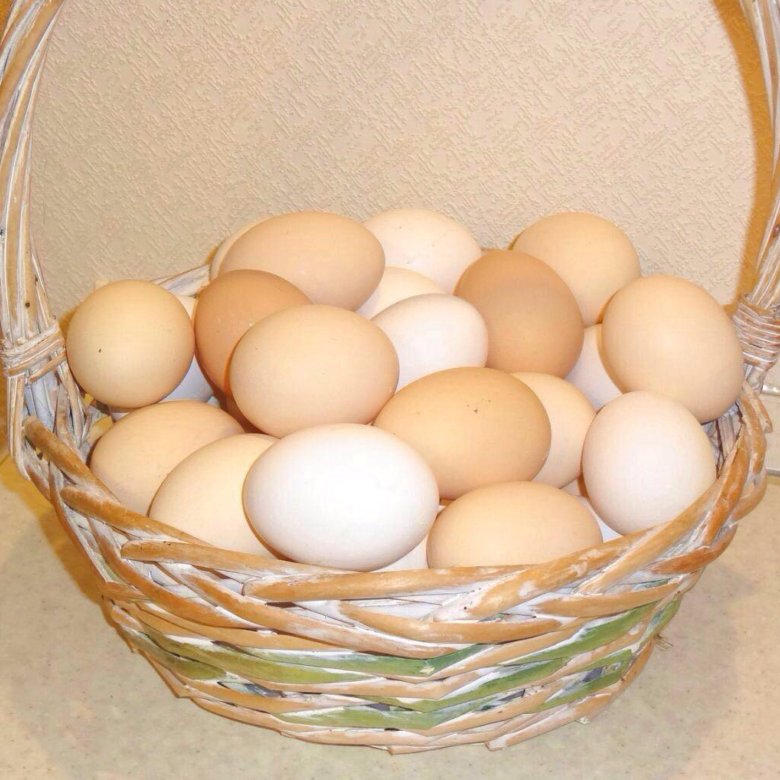 Продаются яйца. Продам яйцо куриное домашнее. Продам яйца куриные домашние. Яичная от Черкашина. Куплю яйцо астрахань