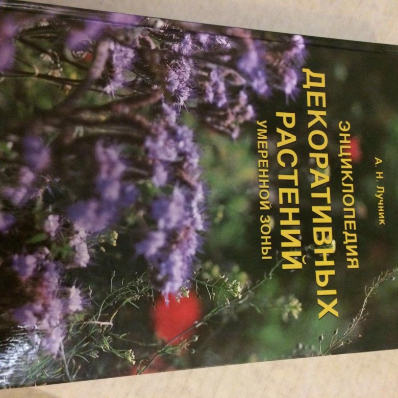 энциклопедия декоративных. цветы комнатные энциклопедия. энциклопедия декоративных. глезаль марат ка. садовая энциклопедия.