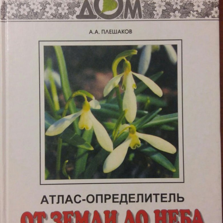 Атлас определитель шмель. Атлас определитель. Плешаков атлас определитель от земли до неба. Атлас-определитель для младших классов 4 класс.