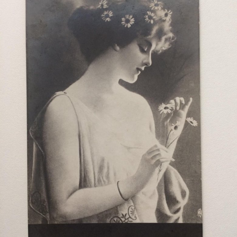 ���� ������� �������� 1913 ����, ������� ��������