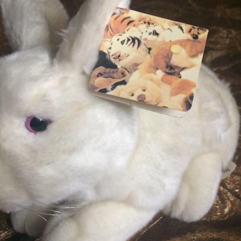 Дерпиксон мягкий кролик. Фотографию в Галамарте нового кролика. Дерпиксон мягкий кролик на русском. Кролик свежий купить