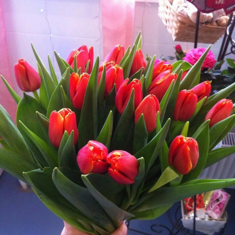 Сколько стоят тюльпаны в красноярске. Букет тюльпанов в домашней обстановке. 8 С тюльпанами. Букет тюльпанов в домашних условиях. Фото тюльпанов дома.