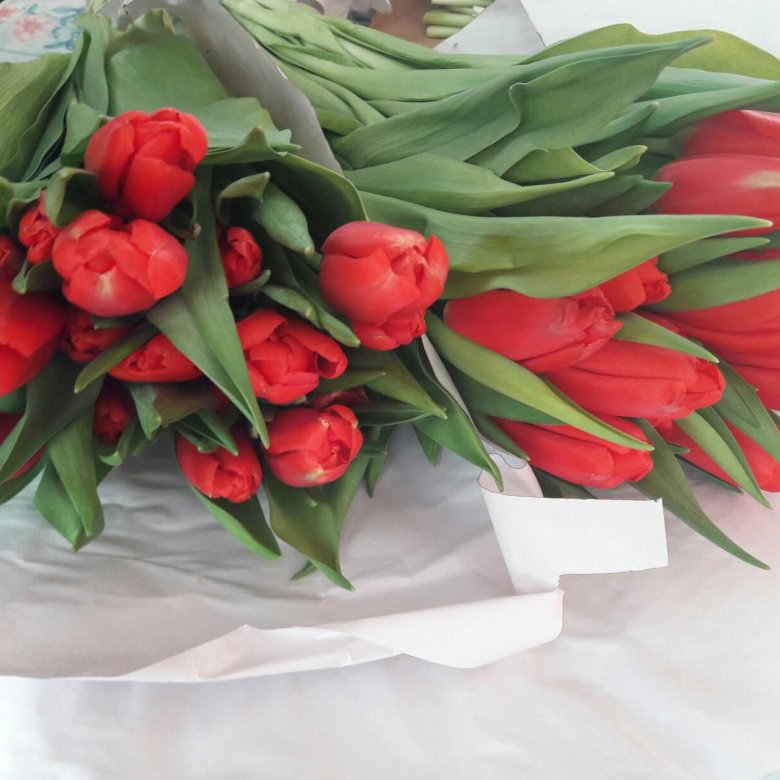 Букет тюльпанов цена рязань, букет сентября москва
