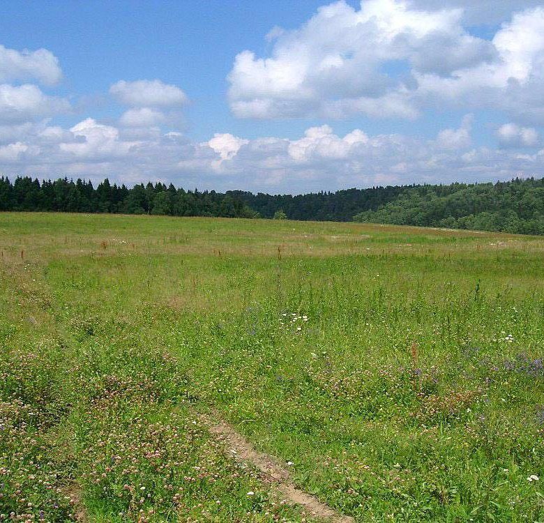 Сбербанк земельные участки. Земельный участок фото. Участок 8 соток. 1000 Гектар земли. Участок 1000 гектаров.