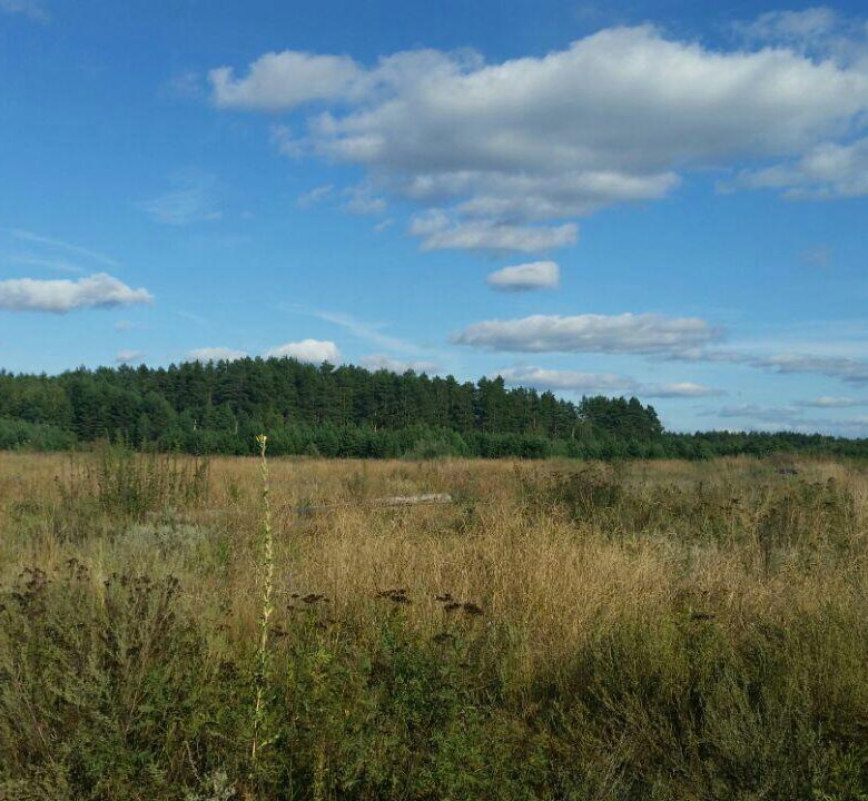 Участок пензенская. Поселок Колос Пензенская область. Рязанская область деревня колосс. Земельный участок в пос Колос кировскоцтобласти. Поселок Колос Бессоновского района Пензенской области фото.