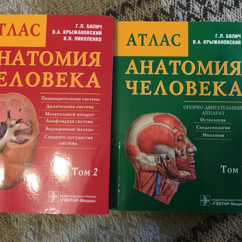 Атлас анатомии человека билич г л. Атлас Билич. Билич 1 том. Яхвэ Билич.