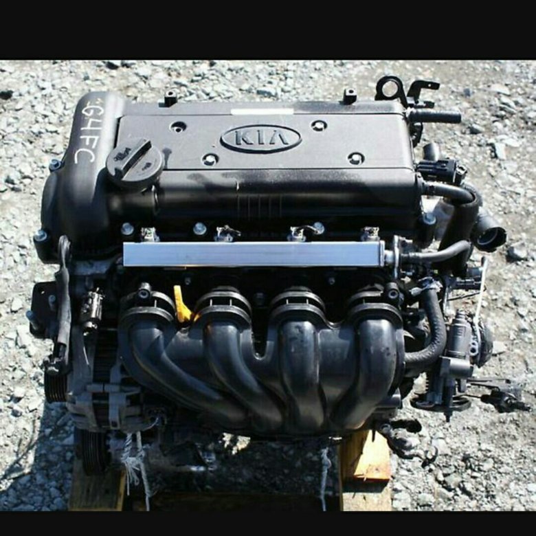 Купить g4fc 1.6. Двигатель Hyundai Solaris g4fc 1.6. ДВС Киа СИД 1.6 g4fc. G4fc Kia Ceed. Двигателя g4fc 2.4.