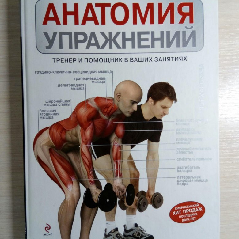 Анатомия тренировок. Анатомия упражнений. Анатомия упражнений книга. Книга по анатомии упражнений. Книжка по упражнения анатоми.