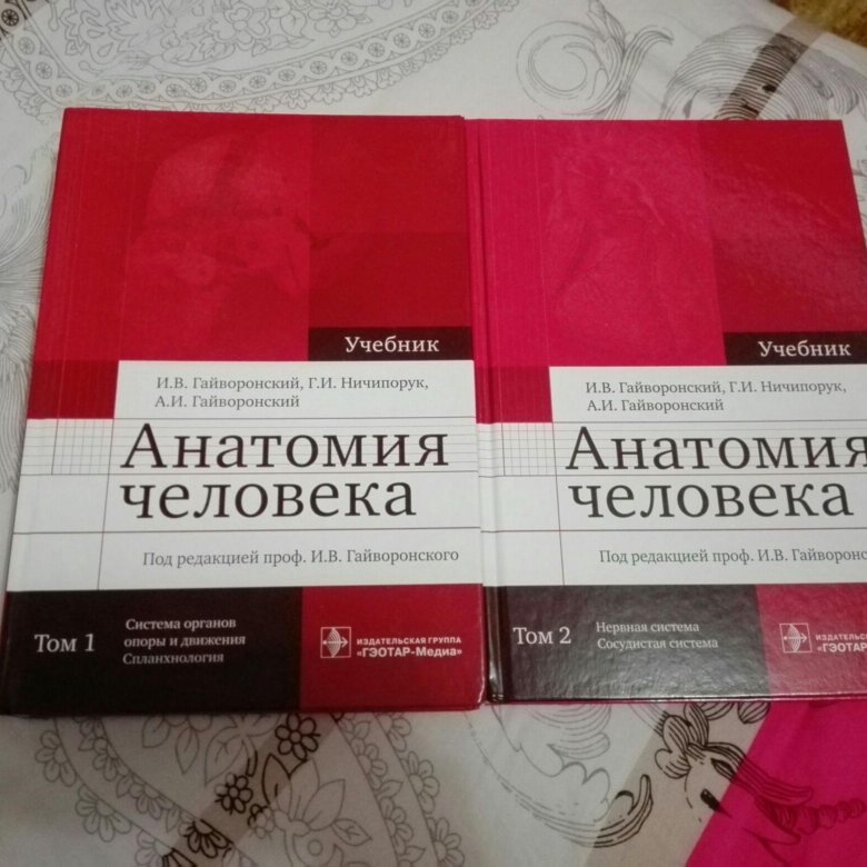 Гайворонский анатомия и физиология. Гайворонский анатомия человека 1 том. Анатомия учебник. Гайворонский учебник. Анатомия человека Гайворонский.