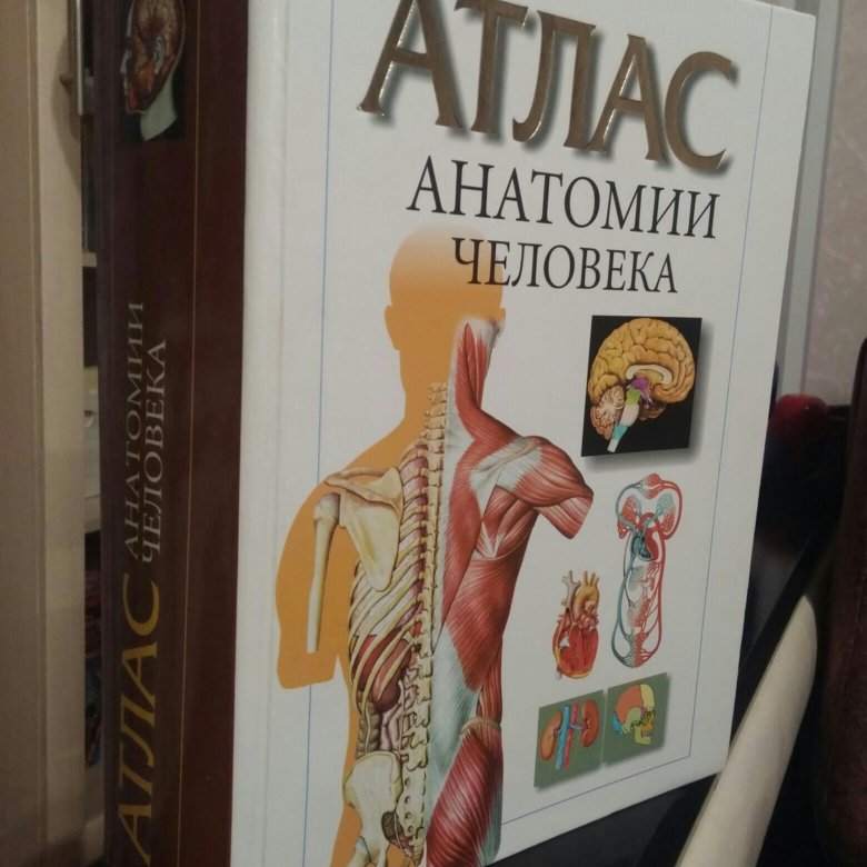 Атлас анатомии человека. Большой атлас анатомии человека Пьерлуиджи Диано. Большой атлас анатомии человека 2 том. Атлас анатомии человека купить. Атлас анатомии человека более 500 иллюстраций т. в. Лукьяненко.