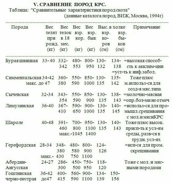симментал порода коров характеристика. герефордская порода коров молочная и мясная. порода герефорд бычки характеристики. голштинская корова характеристика. стандарт породы симментальской породы коров.