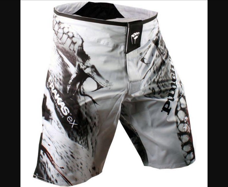 Artist shorts. Шорты Smash MMA. Шорты ММА Gorilla Energy. Scott шорты ММА. Шорты ММА шторм.