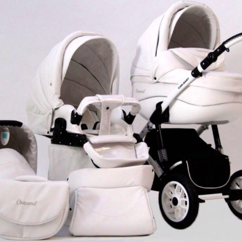 Детская коляска 2 в 1 экокожа. Car Baby Concord 3 в 1. Concord car Baby ecco 3 в 1. Коляска Concord car Baby 2в1. Коляска car Baby Concord 3 в 1 белая.