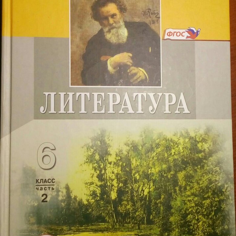 С 50 литература 6 класс. Литература 6 класс учебник. Учебник по литературе 6 класс. Учебник по литературе 6 6