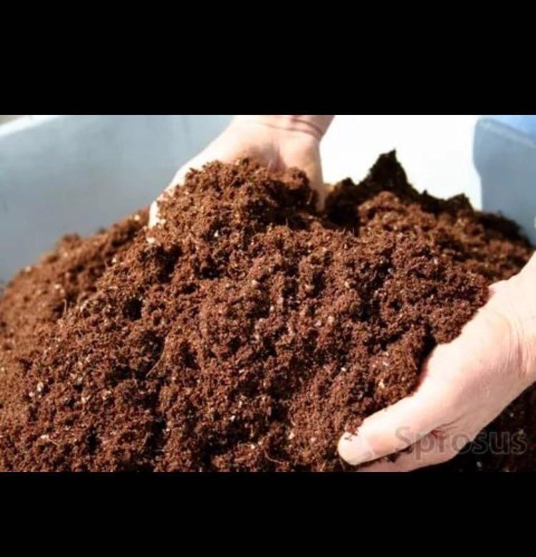 Чернозём перегной навоз камаз. Объявление перегной в мешках. Перегной. Перегной содержит. Навоз.