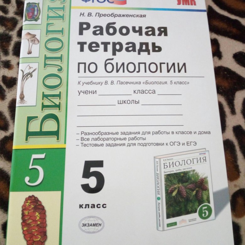 Биология 5 класс рабочая тетрадь с ракушкой. Рабочая тетрадь по биологии 5 класс Пономарева. Рабочая тетрадь 5 кл к учебнику биология Пономарева. Рабочая тетрадь по биологии 5 класс Пасечник. Биология рабочая тетрадь 5 класс поно.