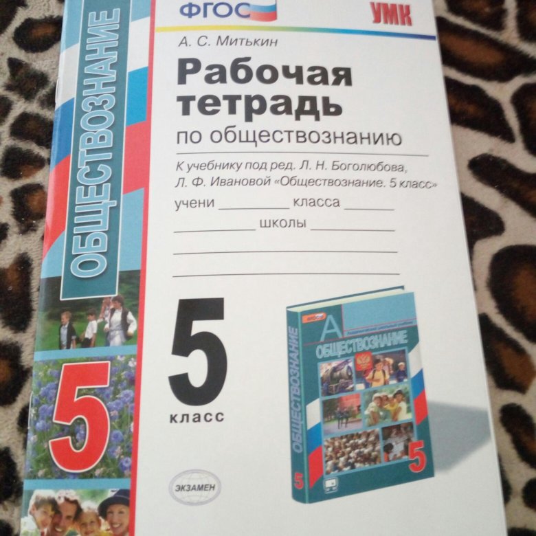 Митькин тетрадь по обществознанию. Рабочая тетрадь по обществознанию 5 класс. Тетрадь по обществознанию 5 класс. Обществознание 5 класс рабочая тетрадь. Обществознание 5 класс рабочая тетрадь Боголюбова.