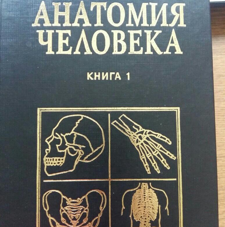 Сапин анатомия человека. Сапин Билич анатомия человека. Нормальная анатомия человека Сапин Билич. Анатомия человека Сапин Билич 1989. Анатомия человека Сапин Билич 2 издание.