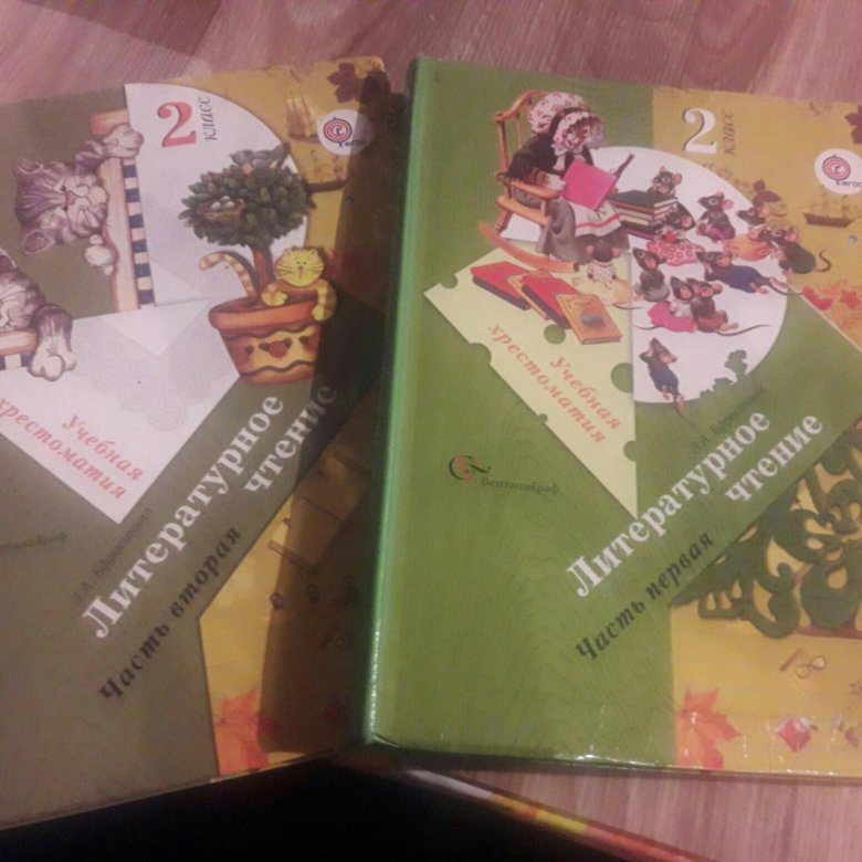 Литературное чтение 2 класс 21 век. Учебник по литературе 2 класс. Учебник по литературному чтению 2 класс. Учебник литературного чтения 21 века.