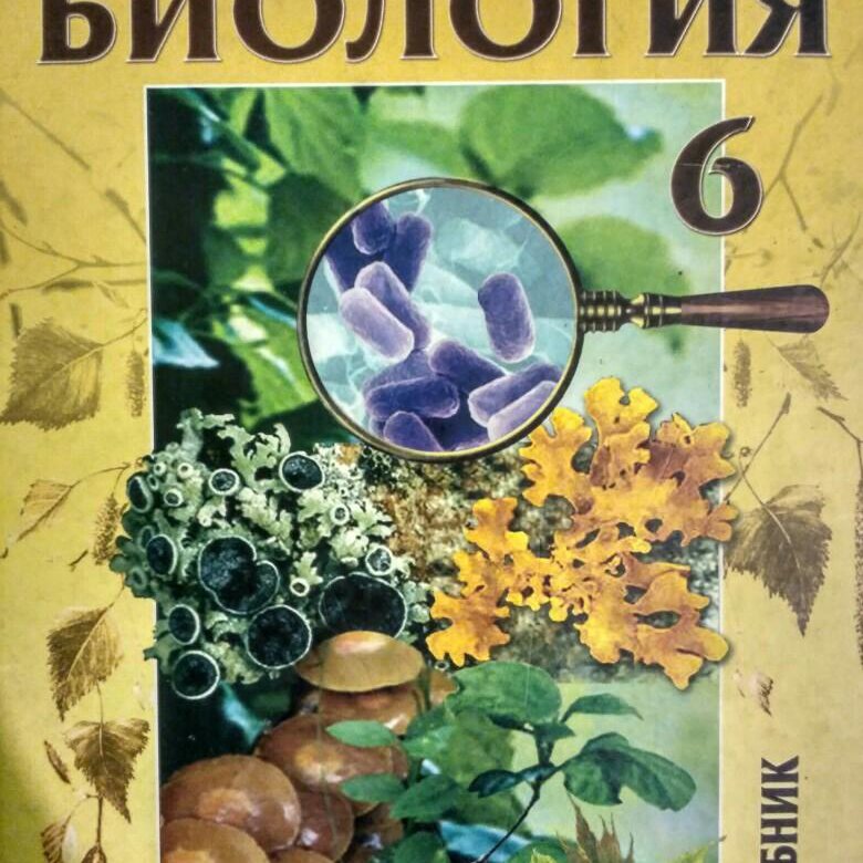 Учебник по биологии 6 класс. Д И Трайтак н д Трайтак биология 6 класс. Биология 6 класс учебник Трайтак. Биология 6 класс д и Трайтак н д Трайтак живые организмы. Трайтак биология 5-6 класс.