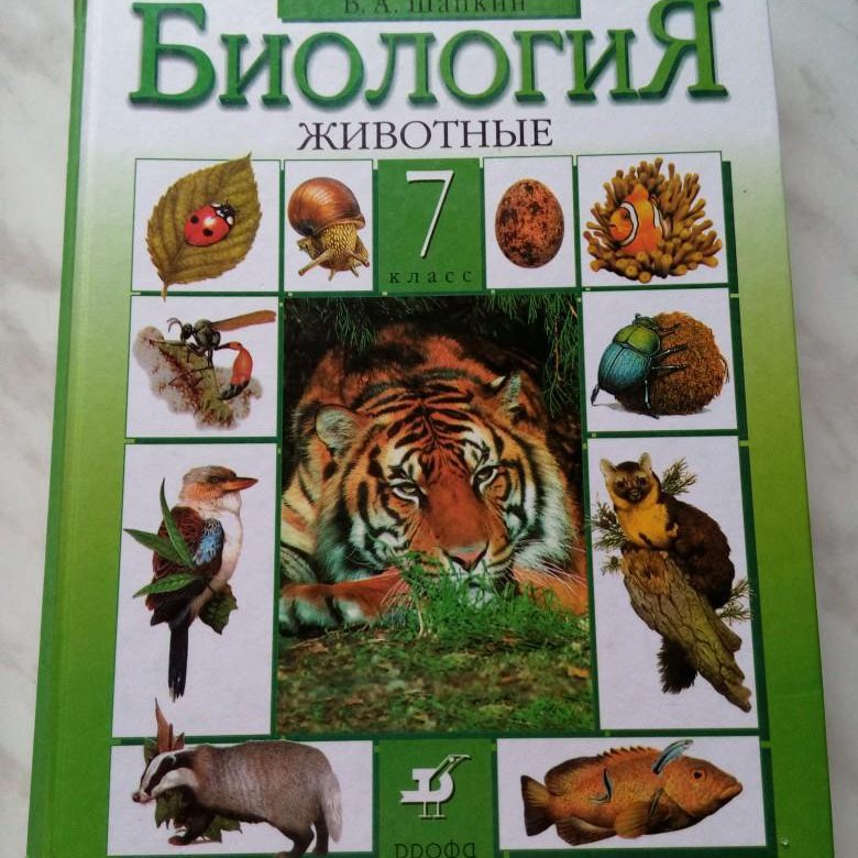 Биология латюшина. Латюшин в.в., Шапкин в.а. «биология. Животные». Учебник по биологии 7 класс. Биология 10 класс латюшин. Биология 8 класс животные латюшин.