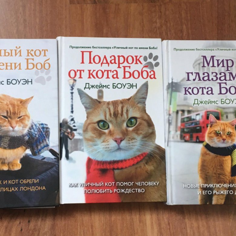 Кот боб книга. Кот с книгой. Книги про говорящих котов. ВК про кота Боба. Обложки для журналов про котов.