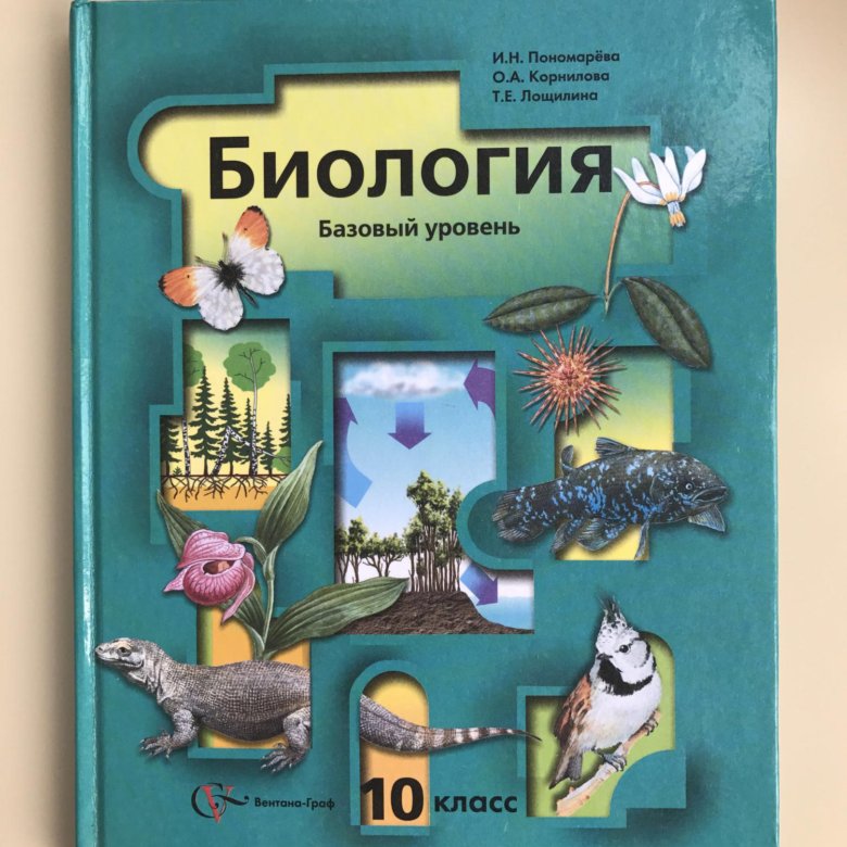 Биология мяндина тарасенко. Биология рабочая тетрадь. Биология е. Биология е. Рабочая тетрадь по биологии человек.