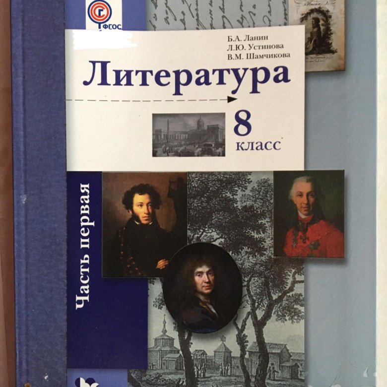 Литературе 9 класс ланин