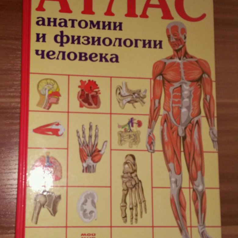 Анатомия и физиология человека основные. Атлас анатомии человека. Анатомия и физиология человека. Физиология человека атлас. Атлас по анатомии.