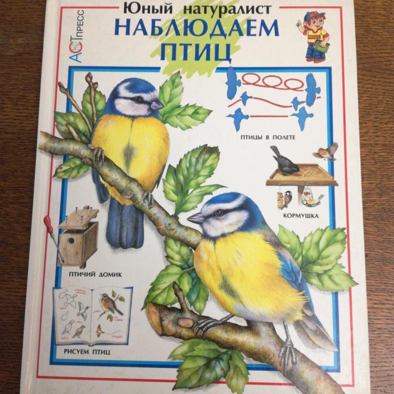 Юный натуралист это. Юный натуралист. Дневник юного натуралиста. Книга Юный натуралист. Наблюдаем птиц книга.