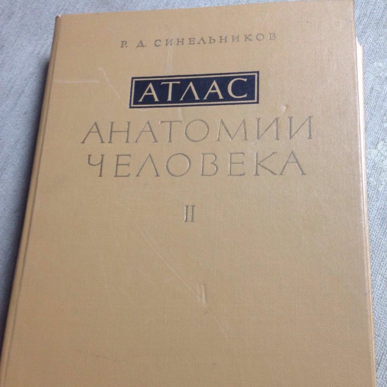 Атлас анатомия человека том 2. Атлас анатомии человека Синельников 2. Синельников 1 том. Анатомический атлас Синельникова. Синельников атлас анатомии.