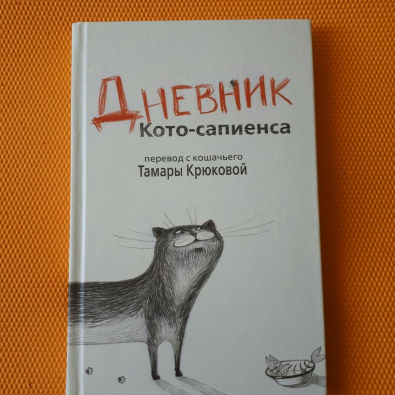 Дневник кота сапиенса картинки