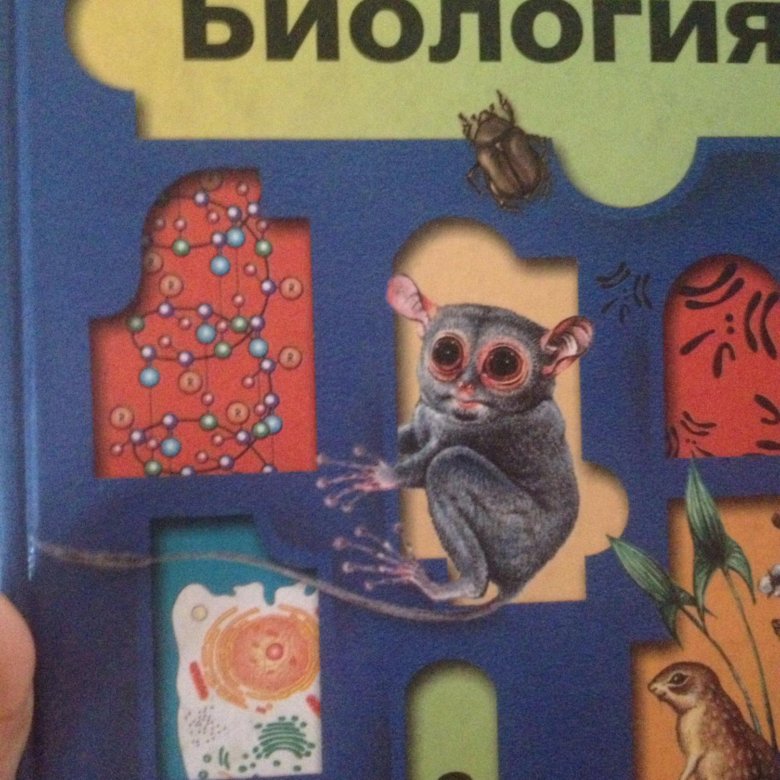 Биология. Биология 8 класс пасечник суматохин. Биология 9 класс учебник читать. Книга по биологии 9 класс человек. Учебник теремов рохлов биология.