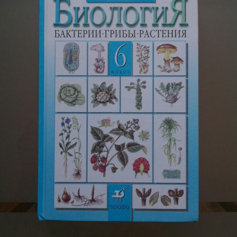 Учебники биологии дрофа. С какого класса начинается биология. Учебник по биологии 6-7 класс. С какого класса биология в школе. Биология 6 класс школа.