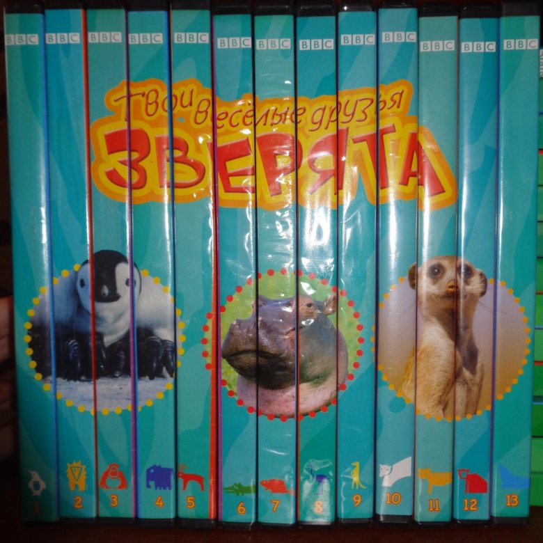 Диск про животных. Animal planet диск. Dvd диски про животных. Dvd планета животных 02. Dvd планета животных.